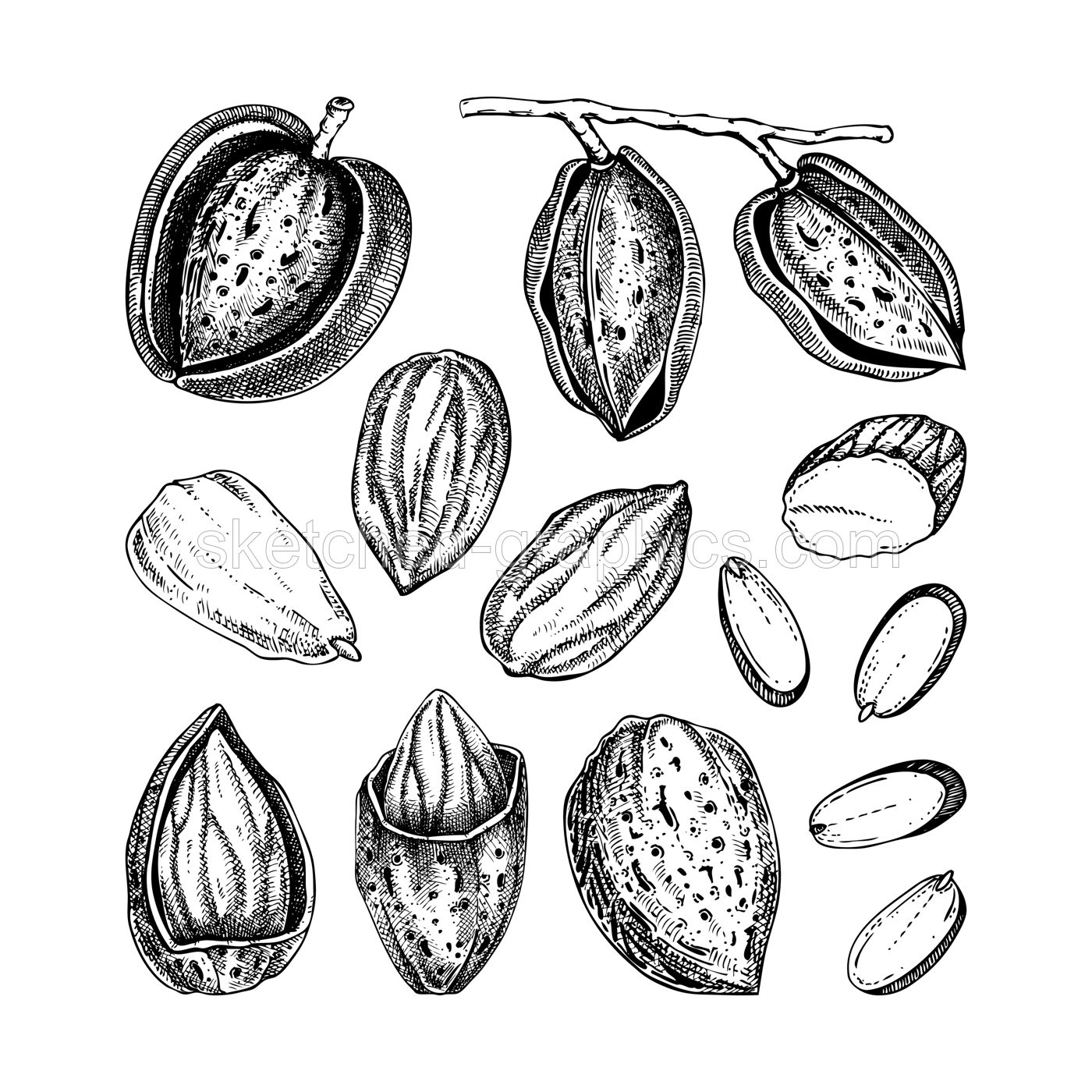 Almond nut sketches set. Hand drawn vector illustrations. Nutshells, nuts, almond slices, vegan, healthy food ingredients. Vintage design elements for packaging, label, logo Illustration